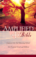 few samples of mp3 audio Bible in King James and World English Bible ...